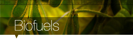 Biofuels Biofuels